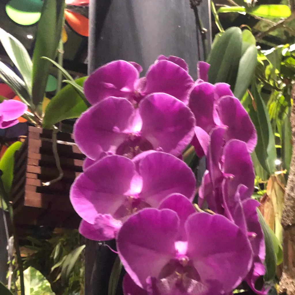 chat with ai character: Stress reliever 