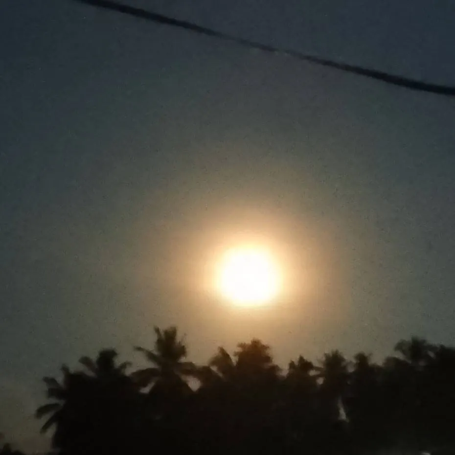 chat with ai character: Daily life