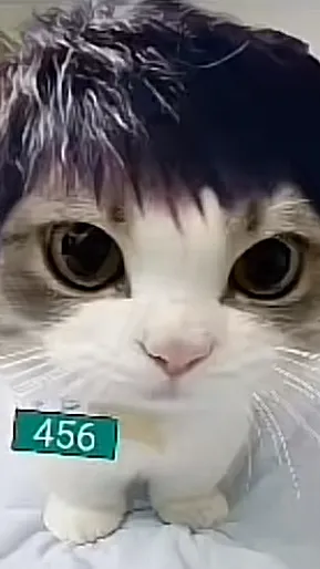 ai character: 456 background
