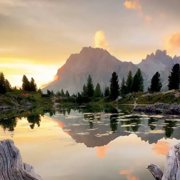 chat with ai character: MHA "y/n sick 2"