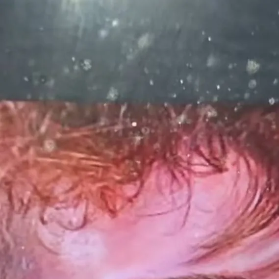 chat with ai character: monsterElliotxyou