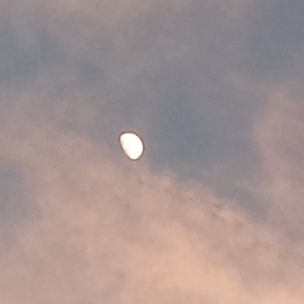 chat with ai character: pick me dw