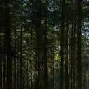 chat with ai character: stranger things 