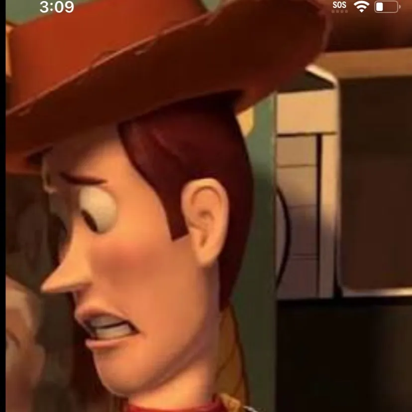 chat with ai character: Woody missing arm 