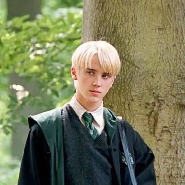 chat with ai character: Draco Malfoy 