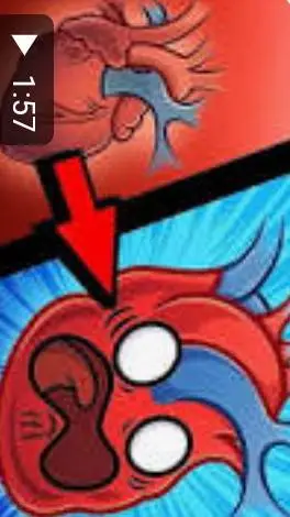 ai character: наше тело background