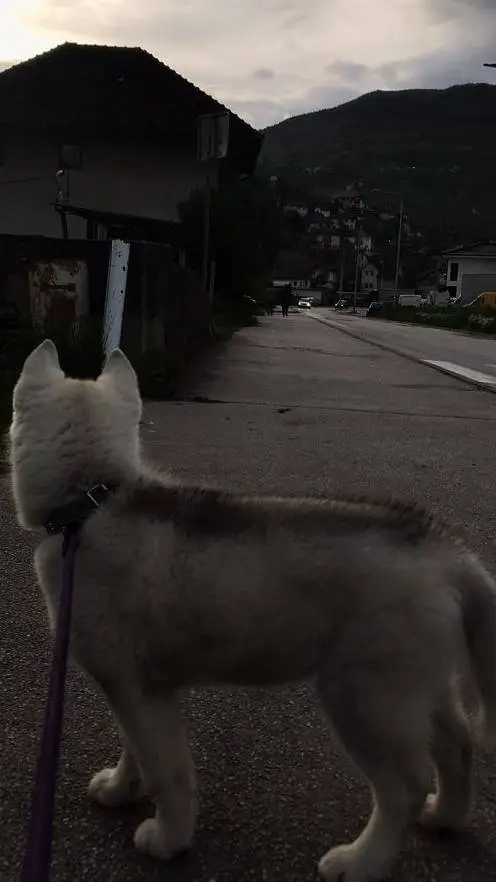 ai character: friends to lovers background