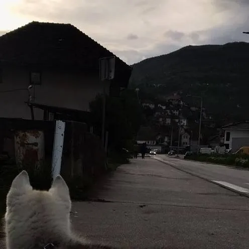 chat with ai character: friends to lovers