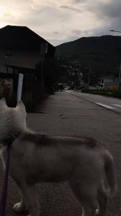 ai character: BAKUGO😌😉 background