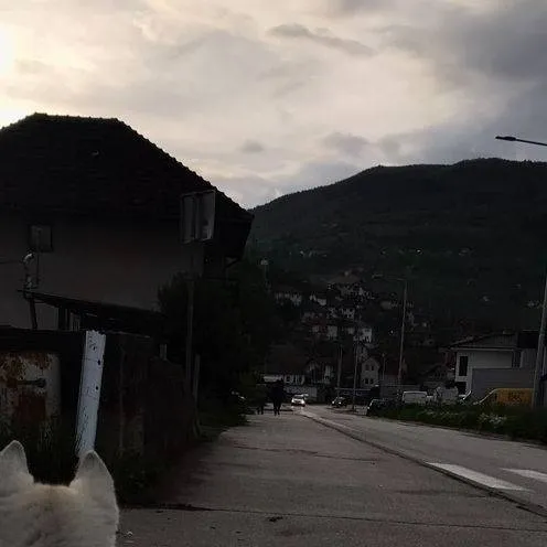 chat with ai character: BAKUGO😌😉