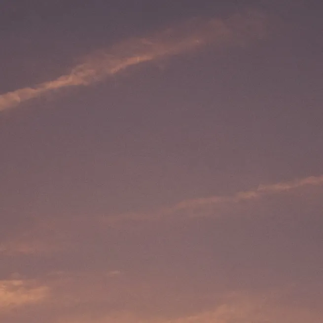 chat with ai character: Chan 