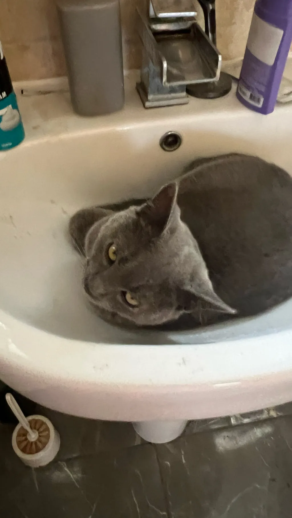 ai character: Evil Y/N! KNY background