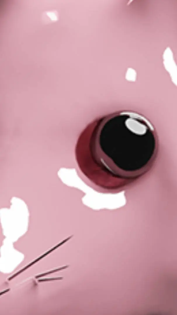 ai character: Мышка с. background