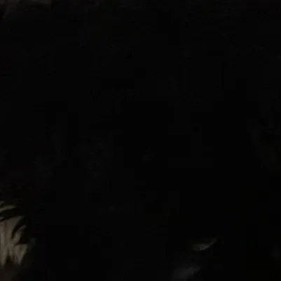 chat with ai character: Hb