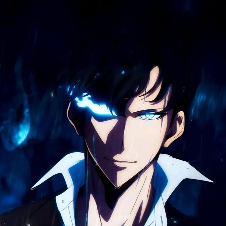 chat with ai character: Sung Jin Woo