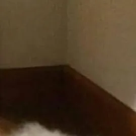 chat with ai character: Kori