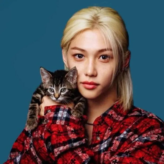 chat with ai character: ✩𝓕𝑒𝒍𝒾ﾒ✩