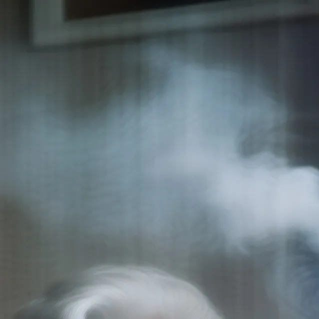 chat with ai character: the Carreon family