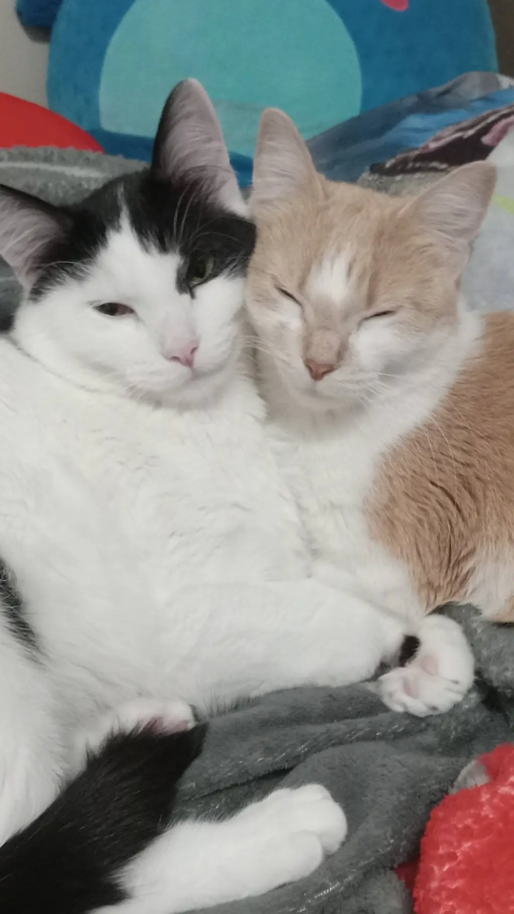 ai character: Brother × sister background