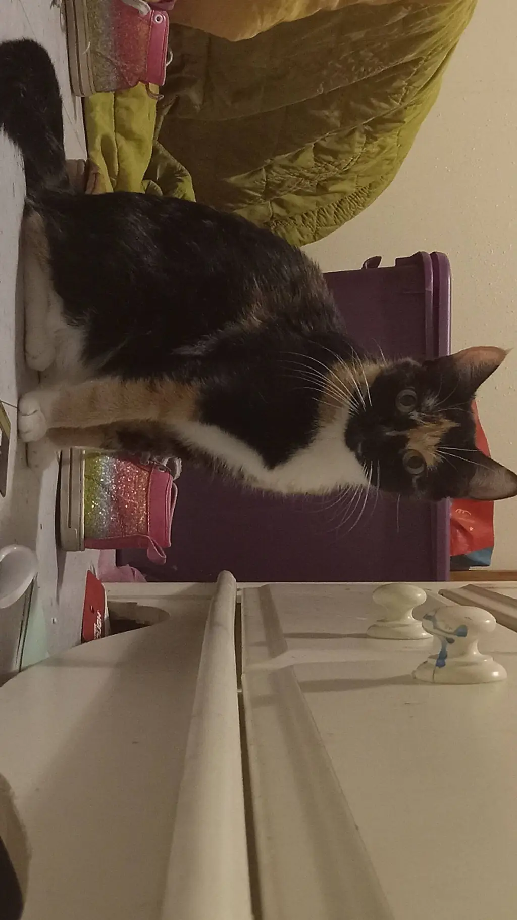 Talkie AI - Chat with Y/n × König