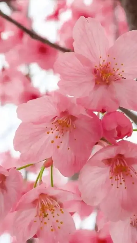 ai character: artful x pursuer:) background