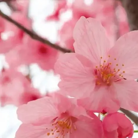 chat with ai character: artful x pursuer:)