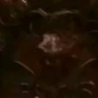 chat with ai character: RUDIE x bobette.