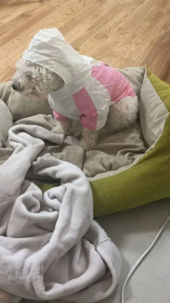 ai character: Hashira party background