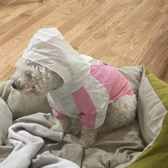 chat with ai character: Hashira party