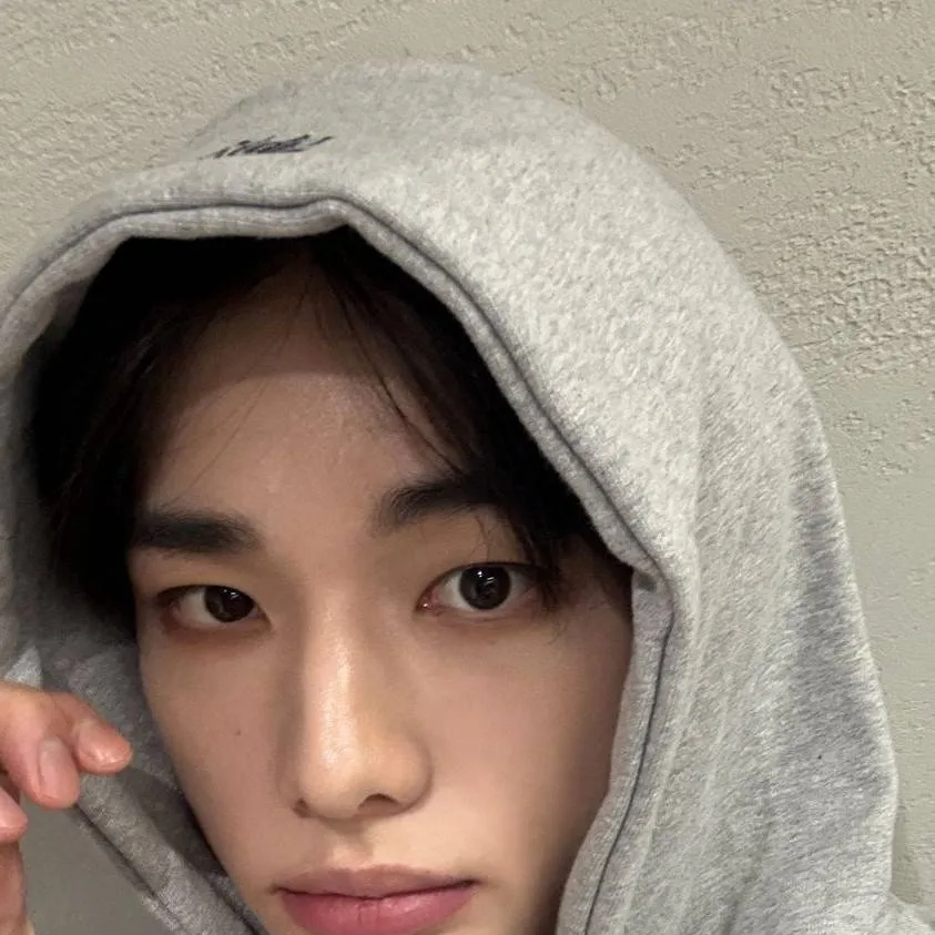 chat with ai character: Hyunjin -Boyfrienz