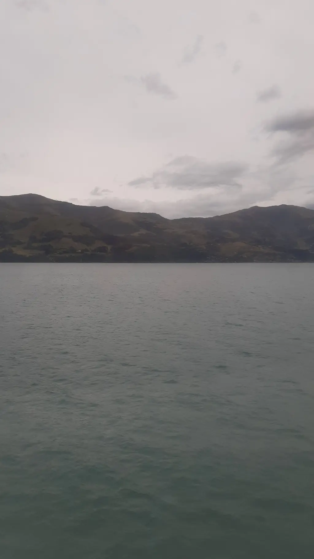 ai character: shinazugawa  background