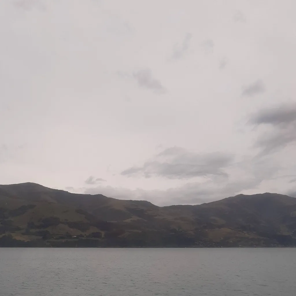 chat with ai character: shinazugawa 