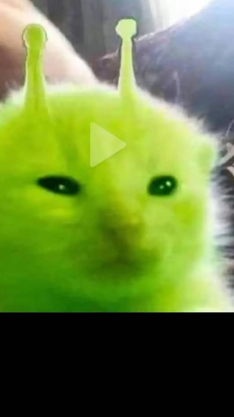 ai character: dw hate you(main) background