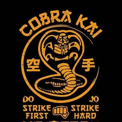 chat with ai character: COBRA KAI