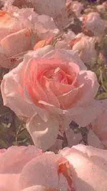 ai character: Mui×Yui background