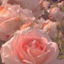 chat with ai character: Mui×Yui