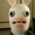 chat with ai character: Rabbid husband