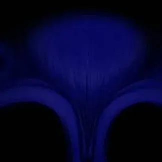 chat with ai character: SONIC.EXE 
