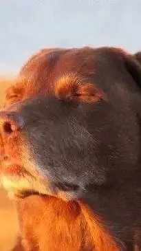 ai character: Creepypastas💅🌚 background