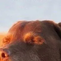 chat with ai character: Creepypastas💅🌚