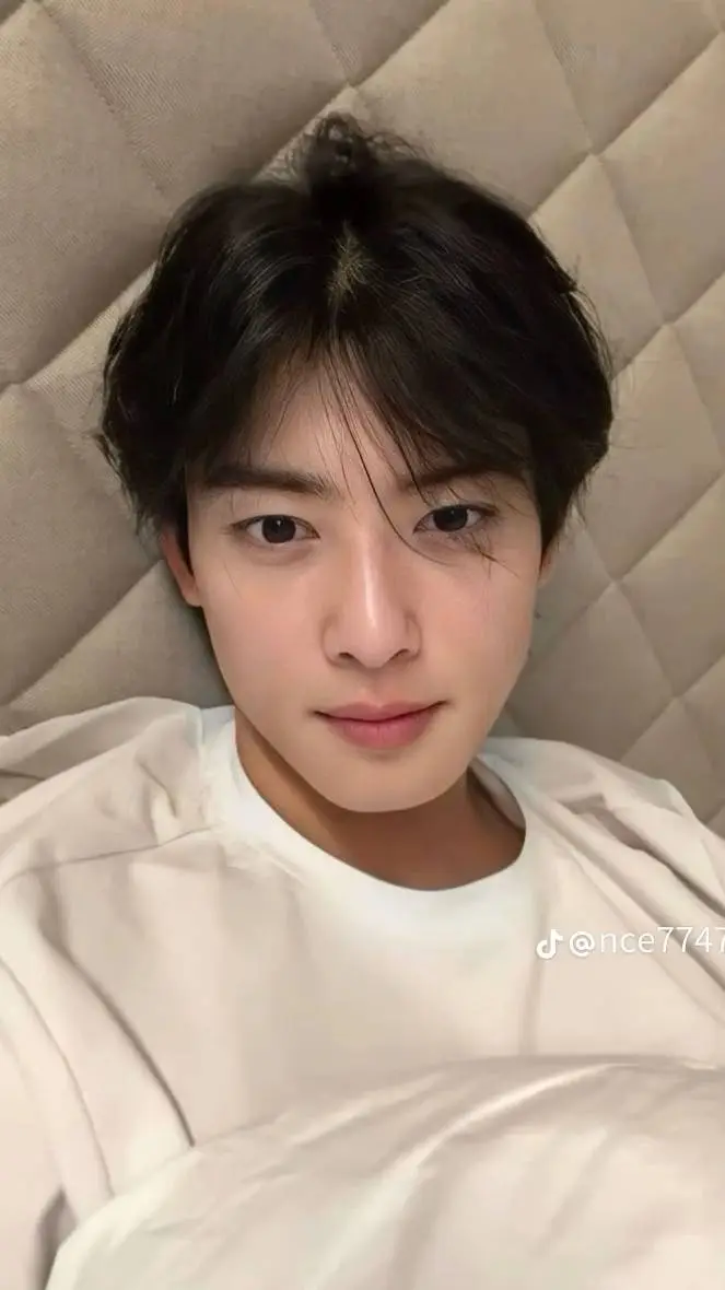 ai character: Cha on woo background