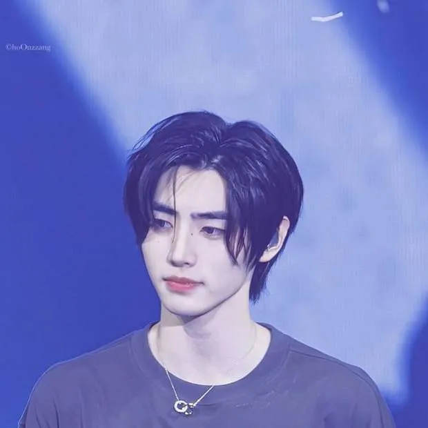 chat with ai character: Sunghoon 