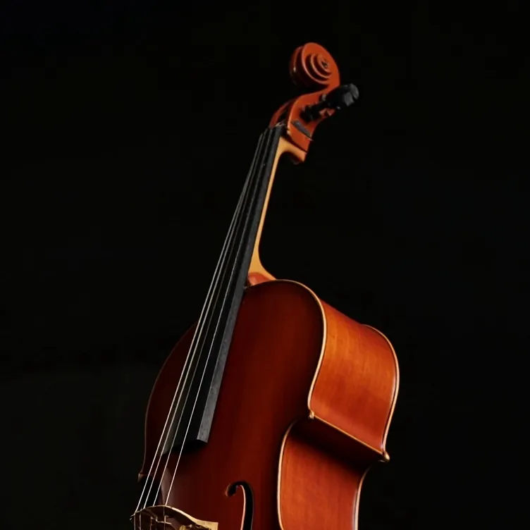 chat with ai character: Instrument Oc’s