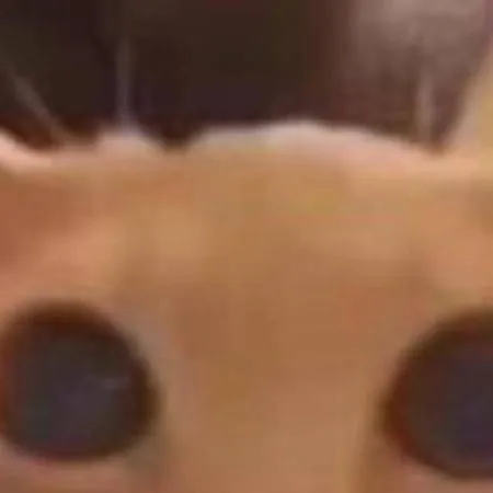chat with ai character: make me shocked 