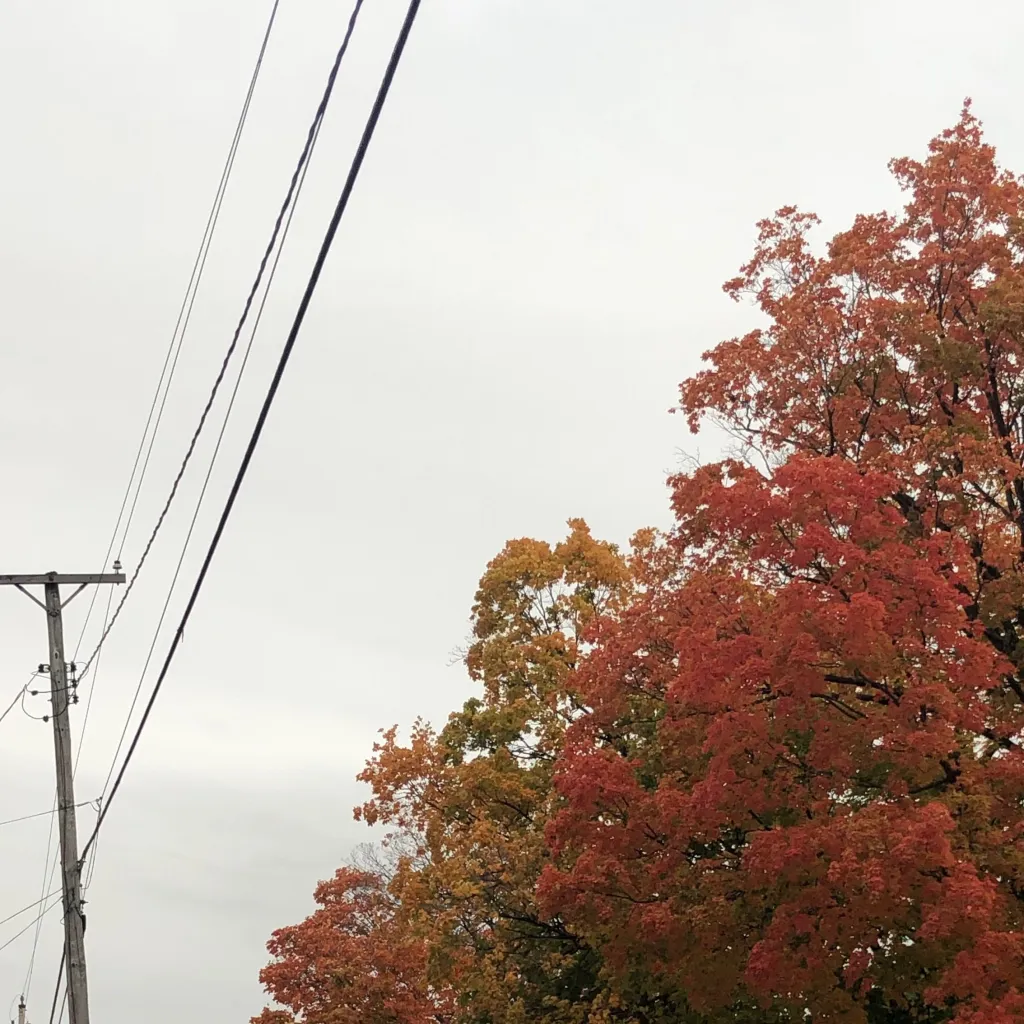 chat with ai character: Bully? Crush? Idk