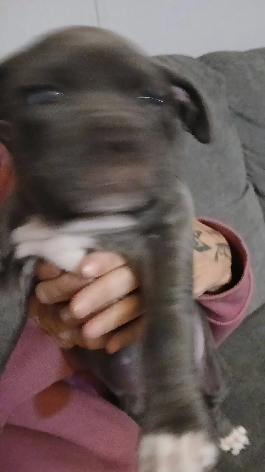 ai character: looey background