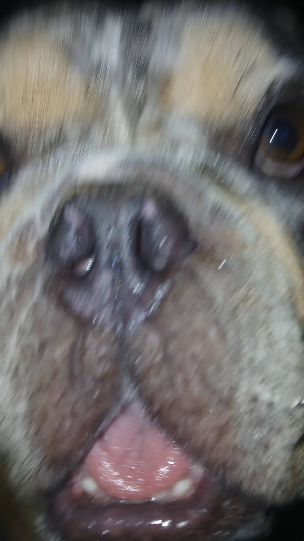 ai character: BUDDY THE ELF! background