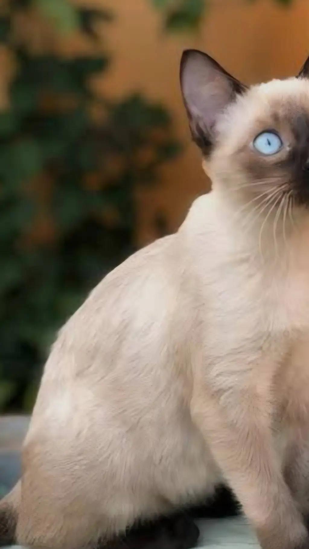 ai character: HH pick me background