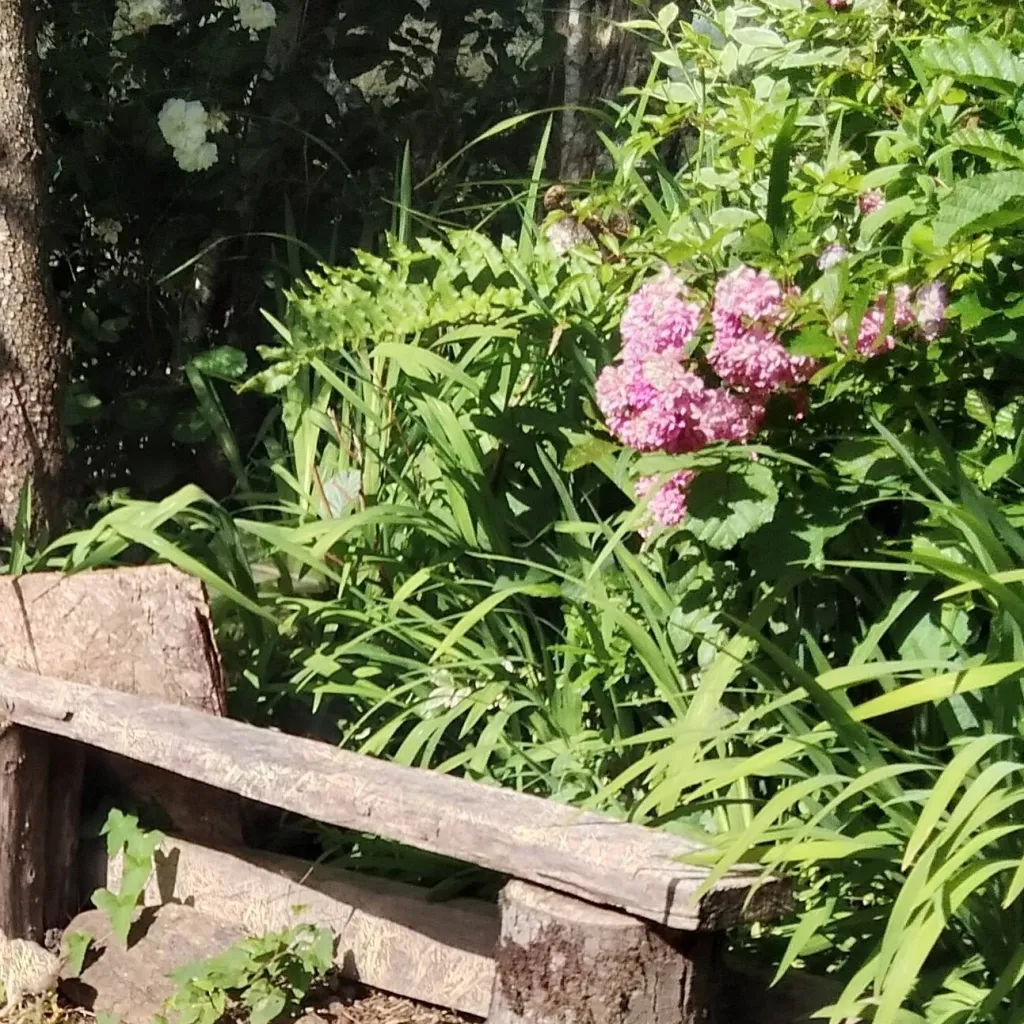 chat with ai character: crea tu historia