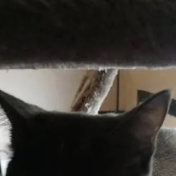 chat with ai character: astro*dw*